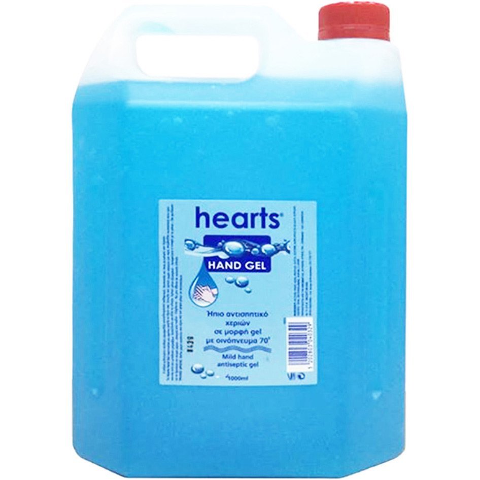ANT Αλκοολούχο Gel Αντισηπτικό 4Lt - Εικόνα 1
